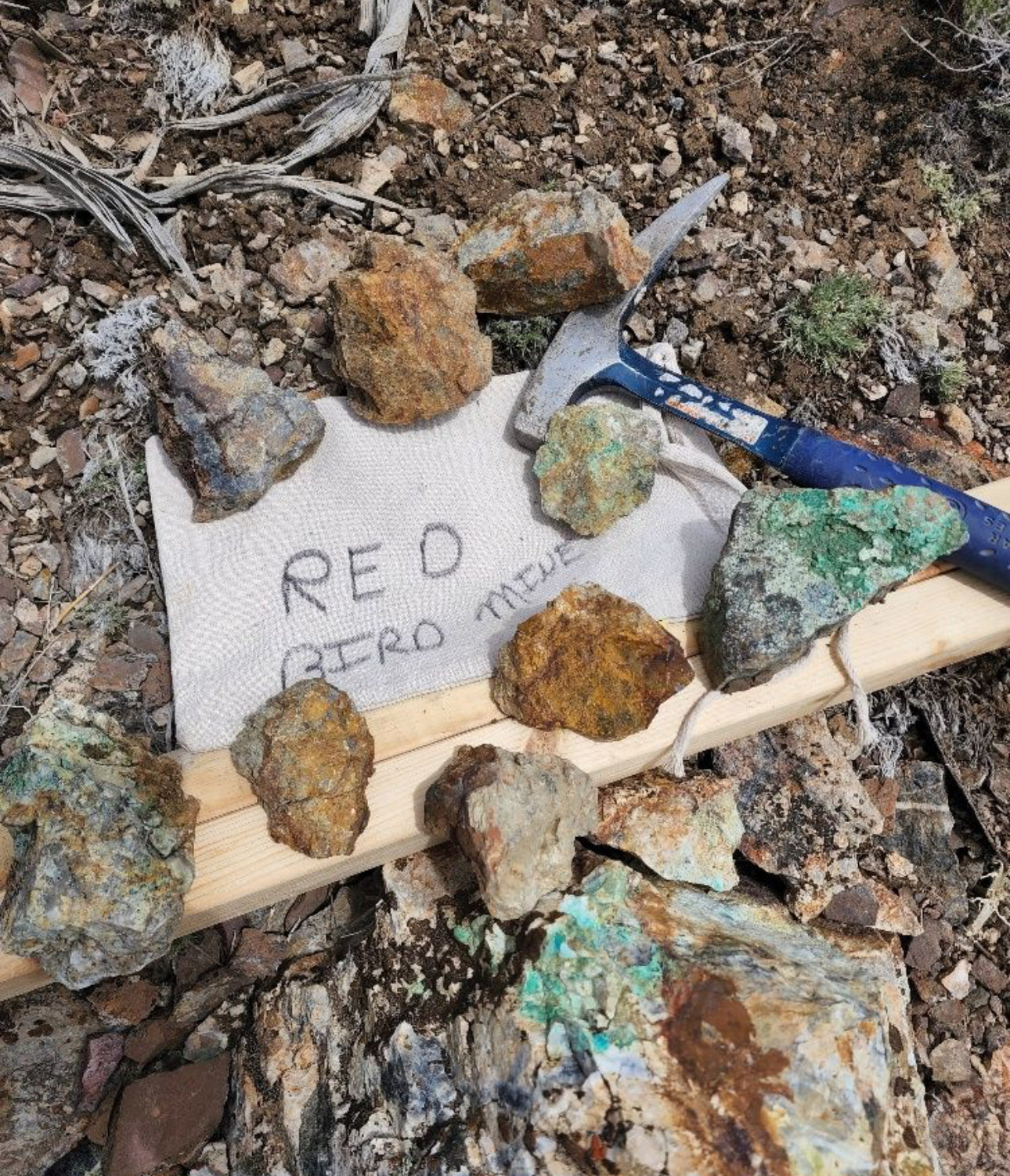 Red Bird Mining Claim Turquoise